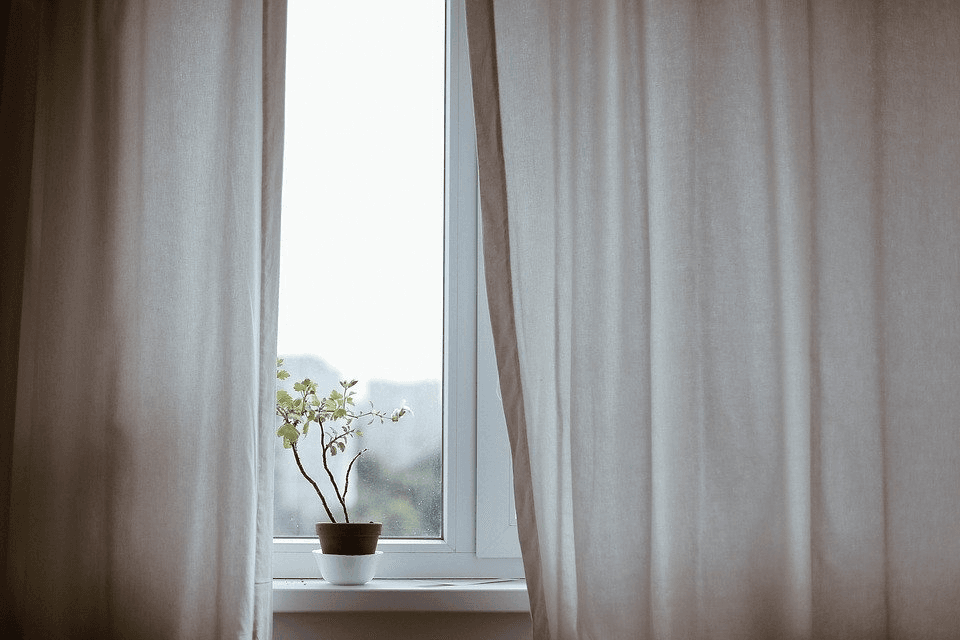 A small potted plant sits on a bright windowsill framed by light, flowing curtains.
