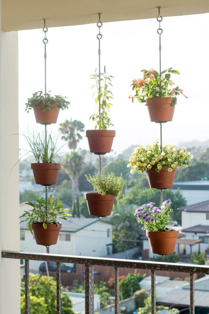 Terracotta pots with various green and flowering plants hanging on a sunny balcony.
