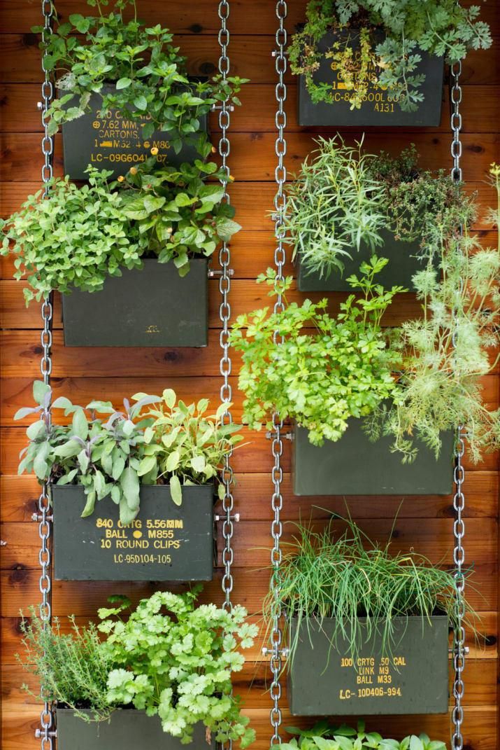 A vertical garden with various green plants in hanging dark planters on a wooden wall.