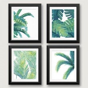 Four black-framed prints displaying various green tropical leaves on a white background.