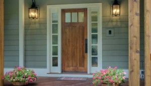 Fenesta wood design front door