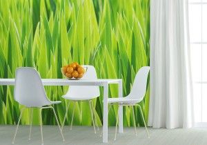 shutterstock_201229109-300x210.jpg